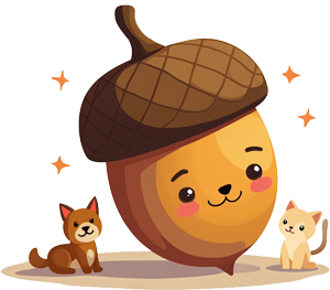 株式会社 ドングリ